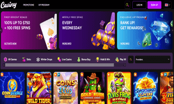 Casiny Casino website