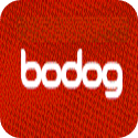 Bodog Casino