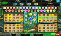 Amazonia Bingo jackpot game