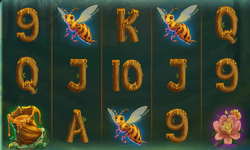 Beary Wild slot by SpinLogic/RTG