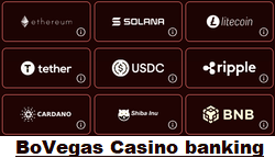 BoVegas Casino banking options