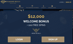 Diamond Reels Casino website