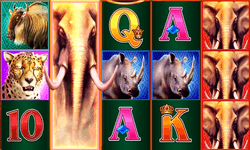 Elephant Stampede slot