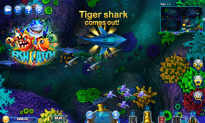 Fish Catch online game