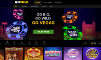 Go Wild Casino website