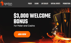 Ignition Casino website