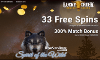 Lucky Creek Casino website