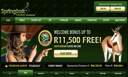 Springbok Casino website