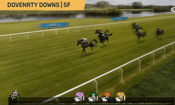 Virtual Horse Racing