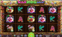 Wild Hog Luau slot