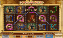Book of Dead slot