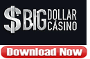 Download Big Dollar Casino