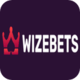 Download Wizebets