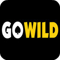 Go Wild Casino